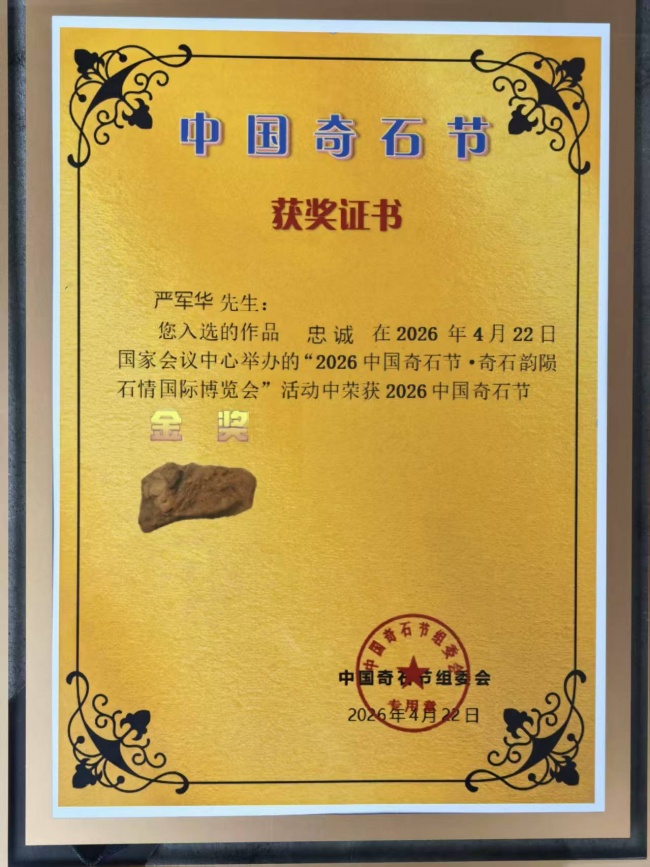 震惊:恭喜浙江严军华先生连摘双金誉作品《忠诚》闪耀2026中国奇石节_中华网