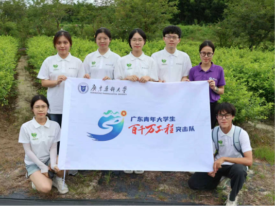 侨乡非遗续薪火·簕菜新韵助振兴 ——广东药科大学药学院奇“簕”融融突击队赴恩平探索非遗活化赋能乡村振兴