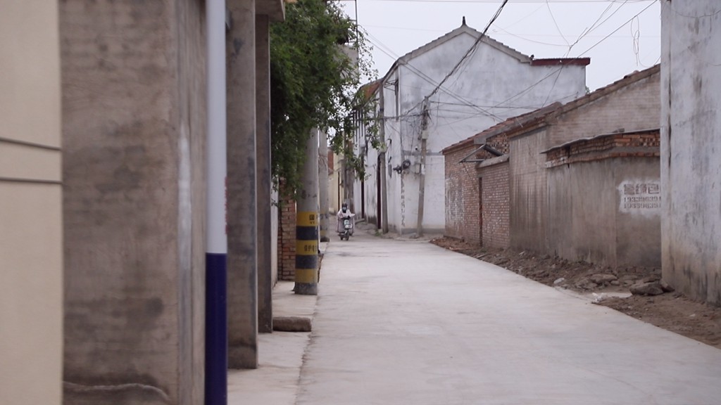 新修的道路与路灯 (1).jpg