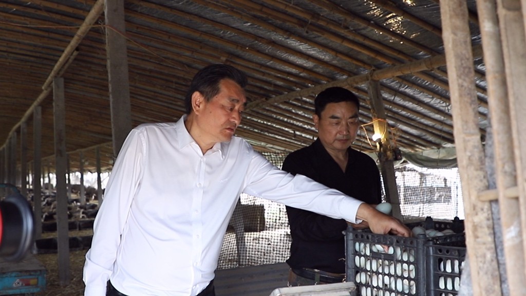 梁来光检查自家养殖企业.jpg