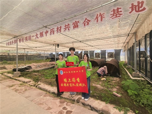 药香文脉融山水 青春脚步探共富——浙江药科职业大学“堰上药香”实践团赴大堰调研