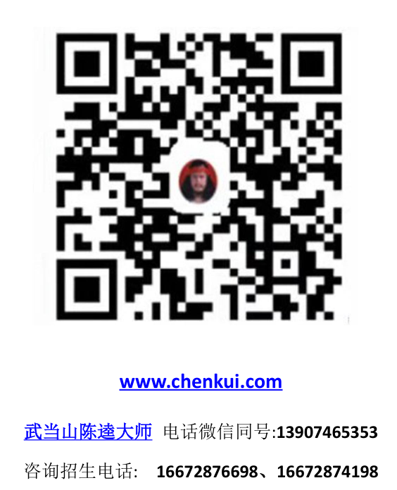 武当山陈逵大师办文武影视学校