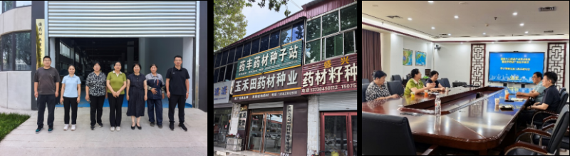 安国活动.png