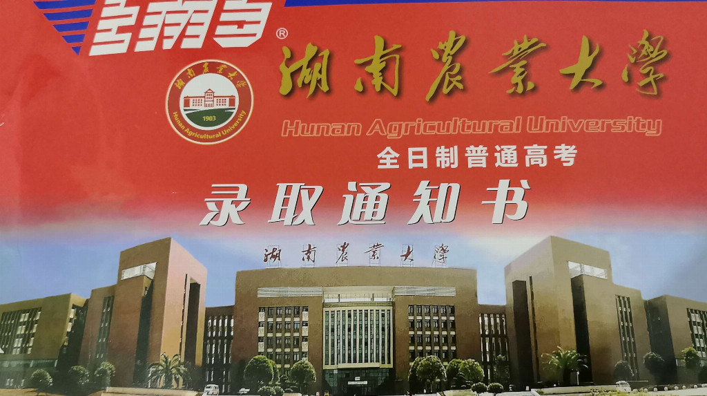 石缝里的树苗:青坪镇的十八岁