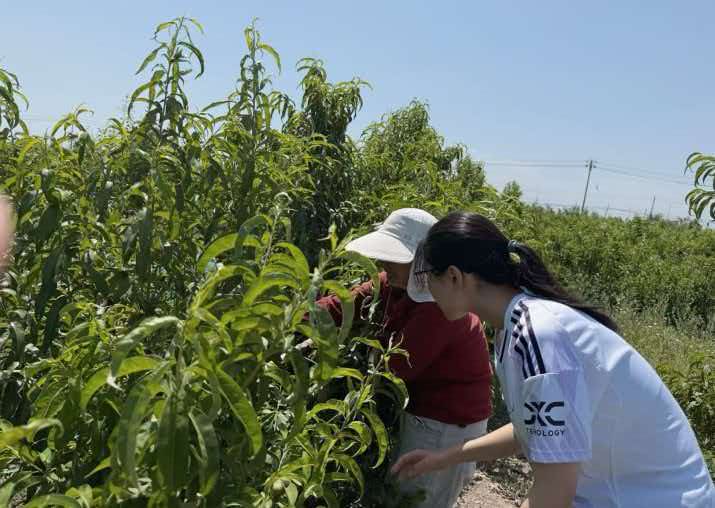 乌鲁木齐：低碳农旅，困局中寻生机