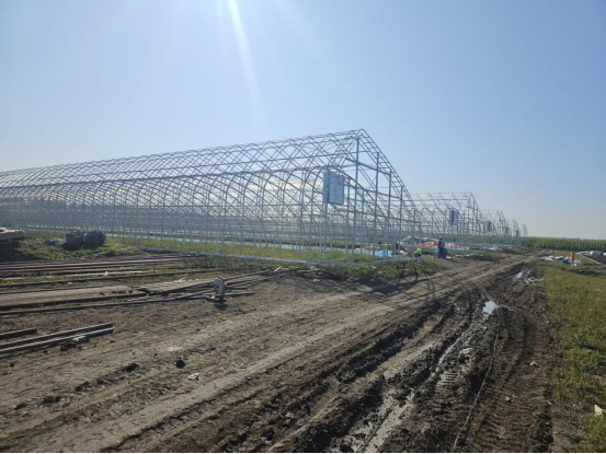 抢抓项目建设黄金期 黑龙江明水棚室果蔬产业园激活乡村振兴新动能