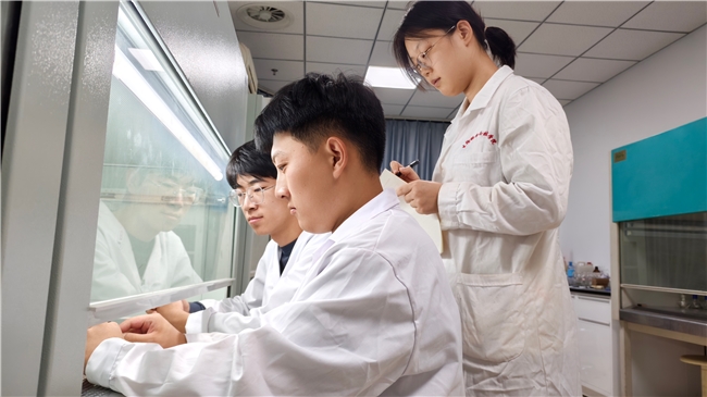 科创筑梦·菌归草原——包头师范学院草原白蘑团队探索“白蘑培育+生态修复”双向增益新路径