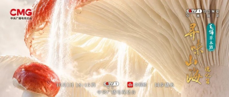 福建德化:山水藏至鲜,林中育珍禽